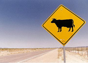 Electronic Arts 将于“2025 东京电玩展”展出《战地风云 6》